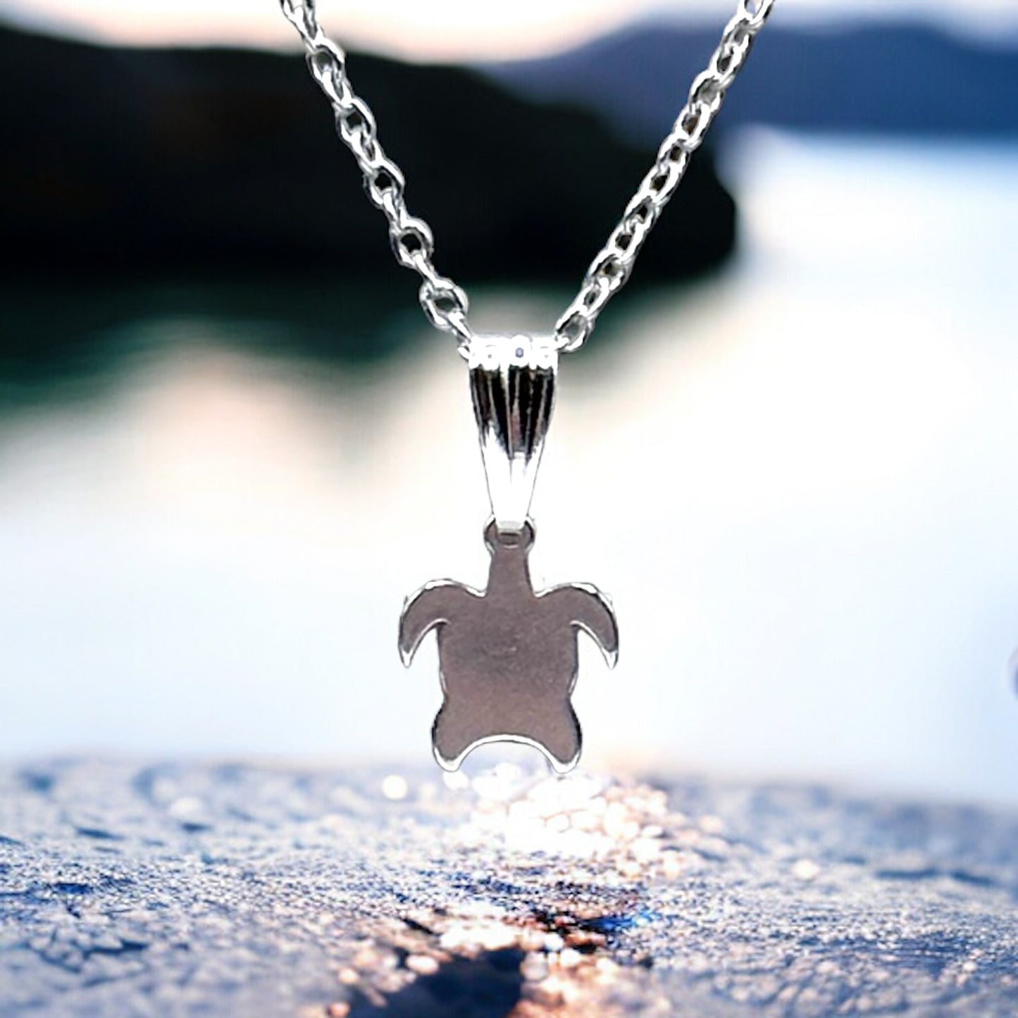 Stainless Steel Turtle Charm Necklace